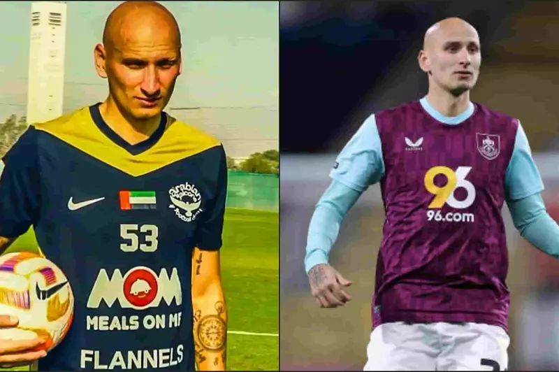 جونجو شيلفي